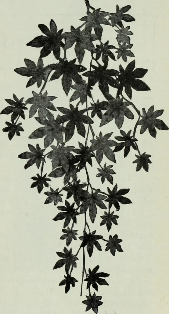 An illustration from Men's wear of Canada (January-December 1913), 1913, leaf 386