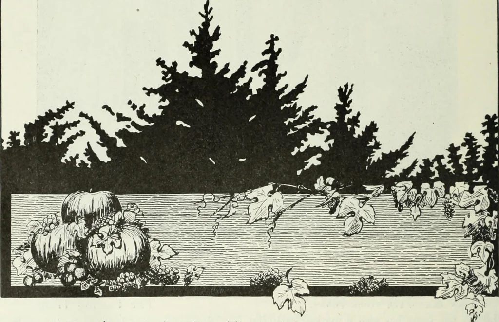 An illustration from Men's wear of Canada (January-December 1913), 1913, leaf 411