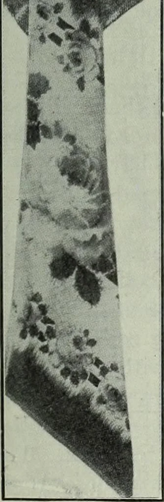An illustration from Men's wear of Canada (January-December 1913), 1913, leaf 448