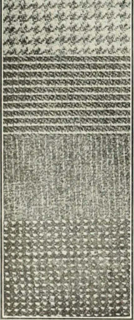 An illustration from Men's wear of Canada (January-December 1913), 1913, leaf 481