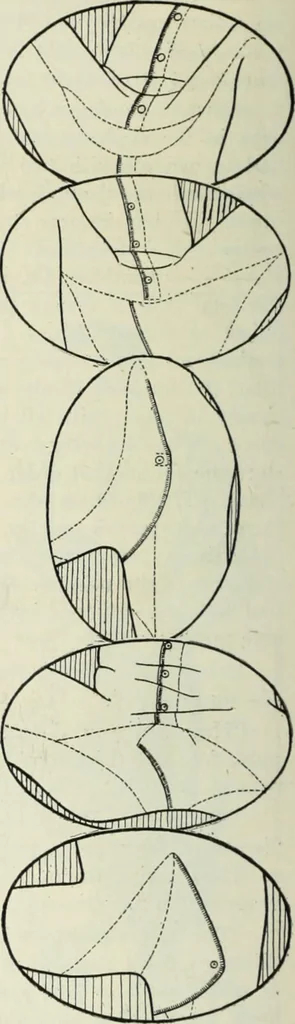 An illustration from Men's wear of Canada (January-December 1913), 1913, leaf 519