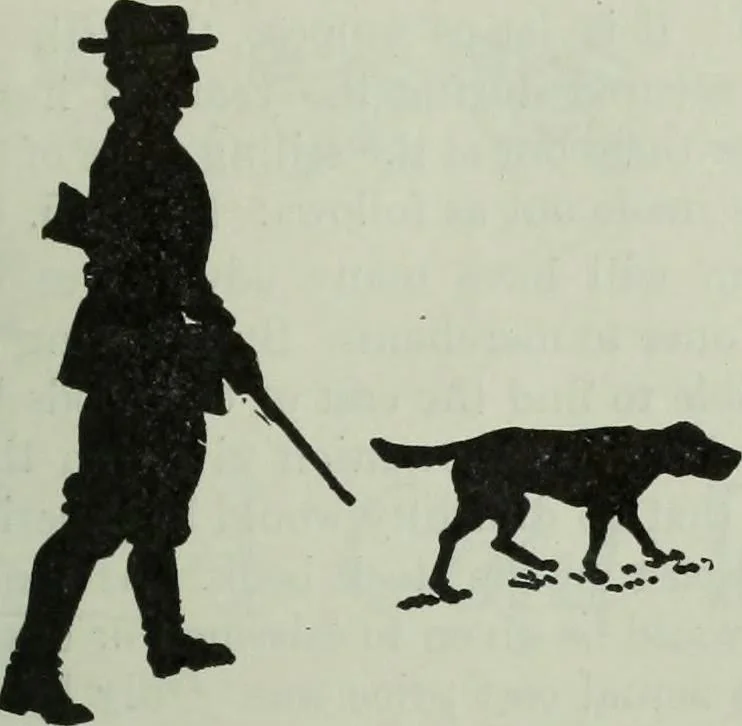 An illustration from Men's wear of Canada (January-December 1913), 1913, leaf 528