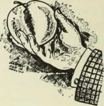 An illustration from Men's wear of Canada (January-December 1913), 1913, leaf 89