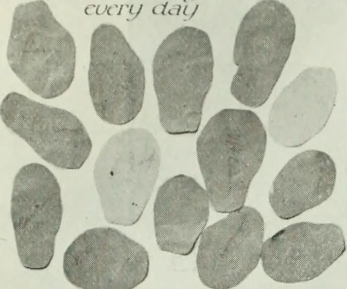 An illustration from Men's wear of Canada (January-December 1914), 1914, leaf 163