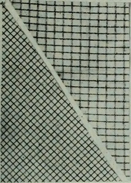 An illustration from Men's wear of Canada (January-December 1914), 1914, leaf 234