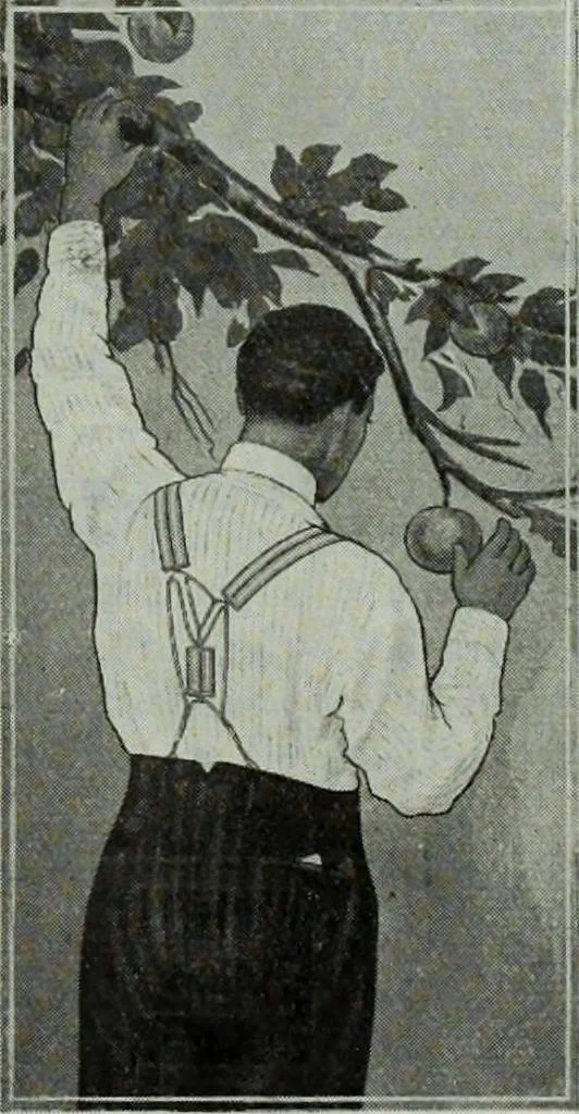 An illustration from Men's wear of Canada (January-December 1914), 1914, leaf 34