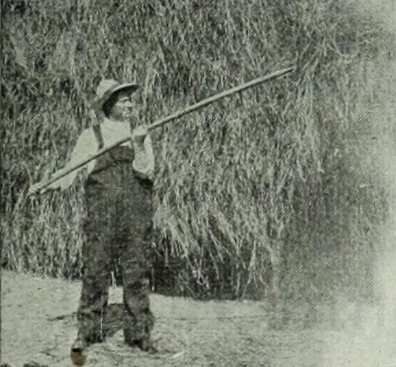 An illustration from Men's wear of Canada (January-December 1914), 1914, leaf 390