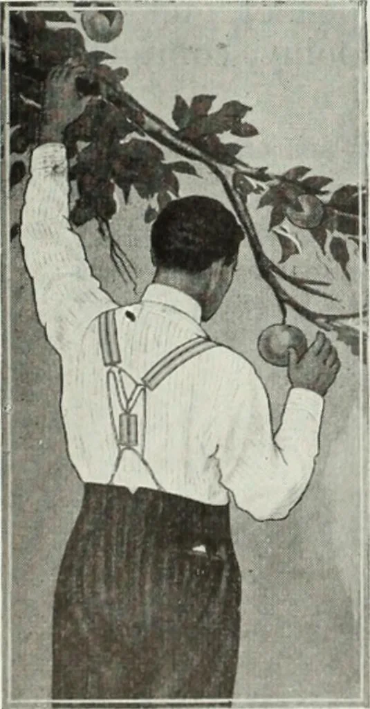 An illustration from Men's wear of Canada (January-December 1914), 1914, leaf 441