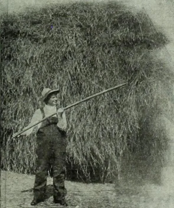An illustration from Men's wear of Canada (January-December 1914), 1914, leaf 484