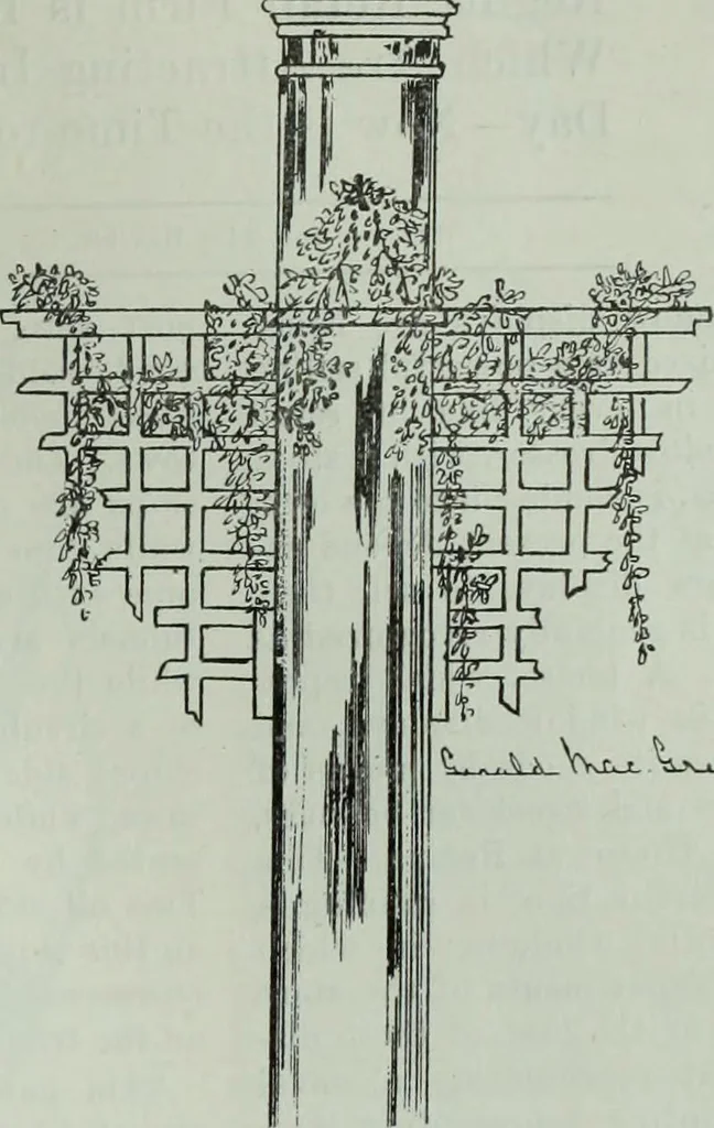 An illustration from Men's wear of Canada (January-December 1914), 1914, leaf 508