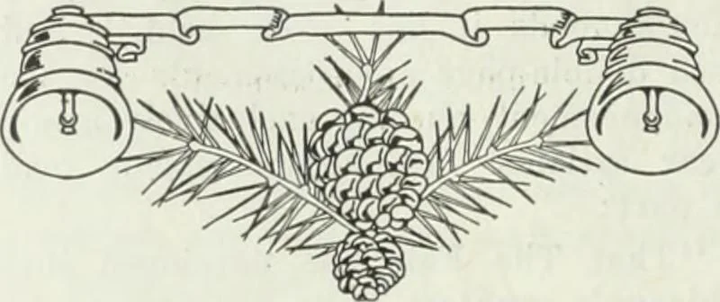 An illustration from Men's wear of Canada (January-December 1914), 1914, leaf 539