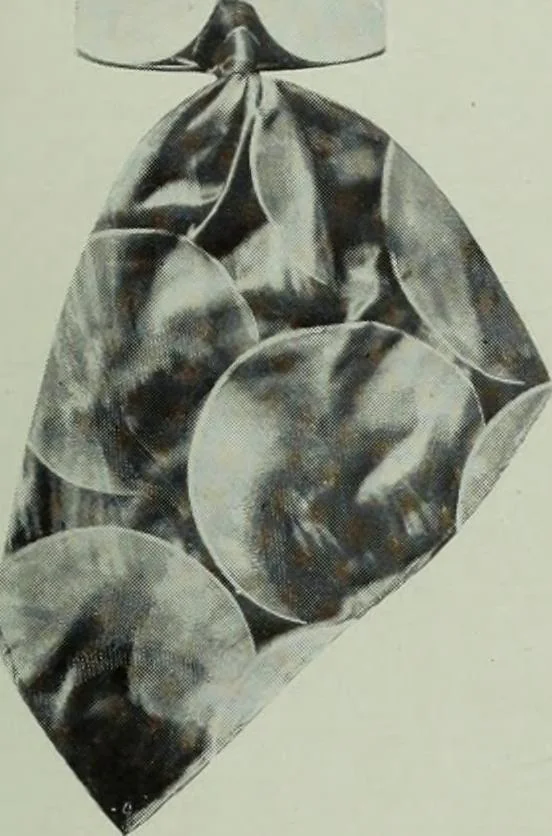 An illustration from Men's wear of Canada (January-December 1915), 1915, leaf 214
