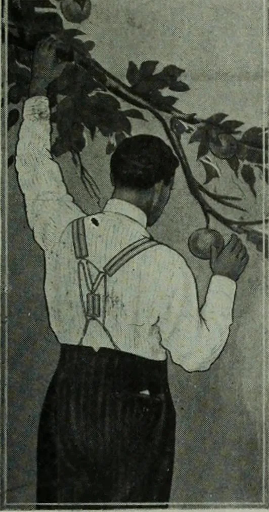 An illustration from Men's wear of Canada (January-December 1915), 1915, leaf 26