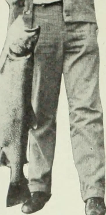 An illustration from Men's wear of Canada (January-December 1915), 1915, leaf 431