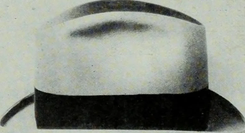 An illustration from Men's wear of Canada (January-December 1915), 1915, leaf 492