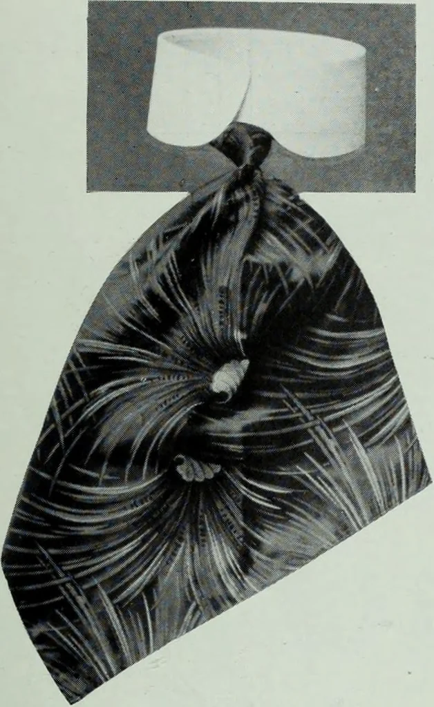 An illustration from Men's wear of Canada (January-December 1915), 1915, leaf 656