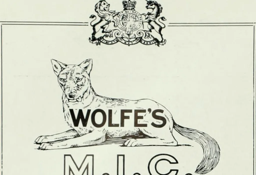 An illustration from Men's wear of Canada (January-December 1915), 1915, leaf 677