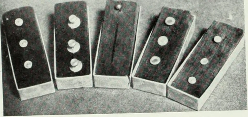 An illustration from Men's wear of Canada (January-December 1915), 1915, leaf 691
