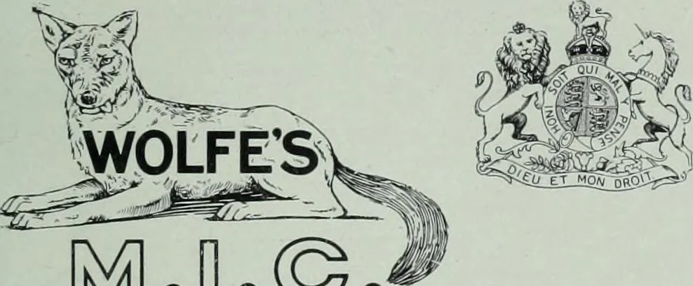 An illustration from Men's wear of Canada (January-December 1915), 1915, leaf 732