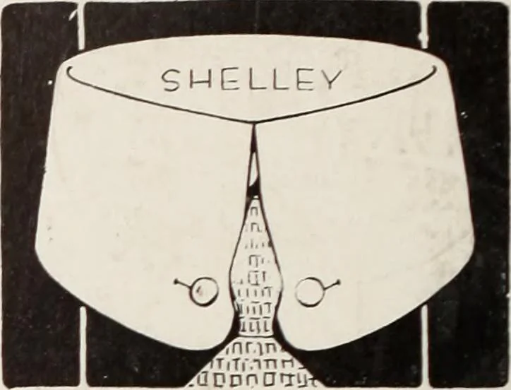 An illustration from Men's wear of Canada (January-December 1916), 1916, leaf 223