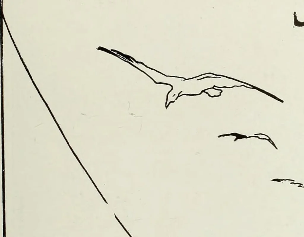 An illustration from Men's wear of Canada (January-December 1916), 1916, leaf 242