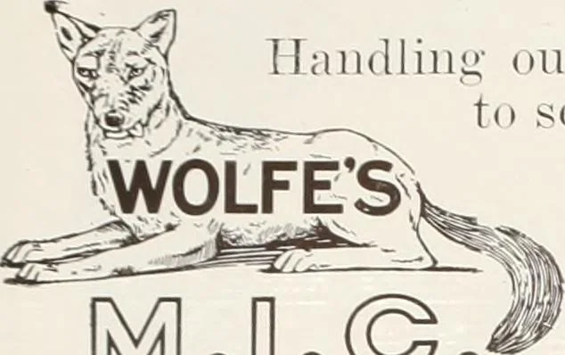 An illustration from Men's wear of Canada (January-December 1916), 1916, leaf 281