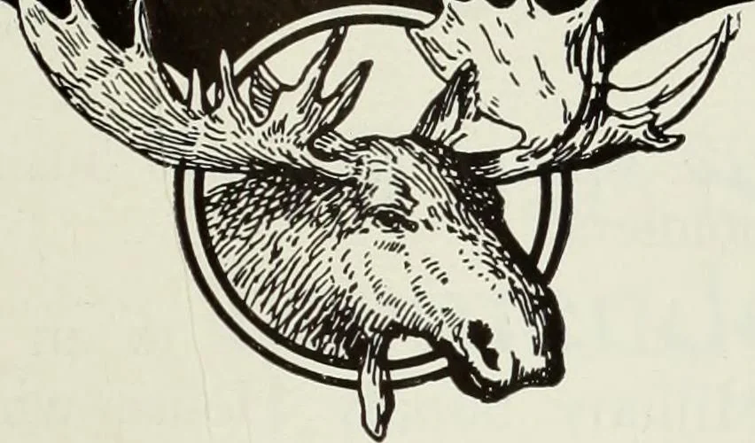An illustration from Men's wear of Canada (January-December 1916), 1916, leaf 356