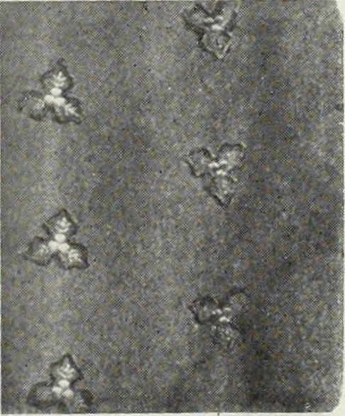 An illustration from Men's wear of Canada (January-December 1916), 1916, leaf 60
