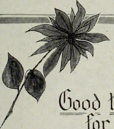 An illustration from Men's wear of Canada (January-December 1916), 1916, leaf 752