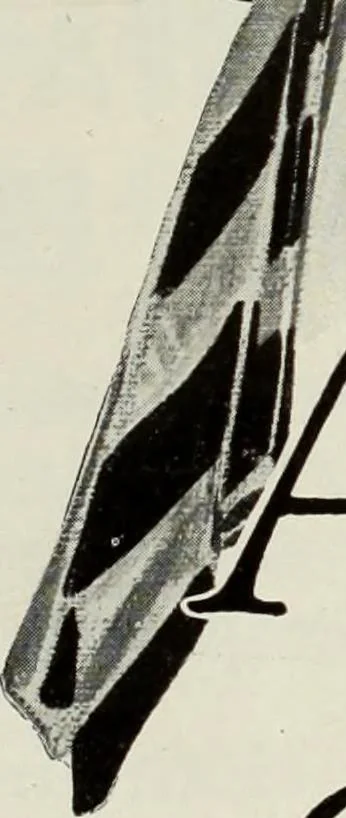 An illustration from Men's wear of Canada (January-December 1916), 1916, leaf 788