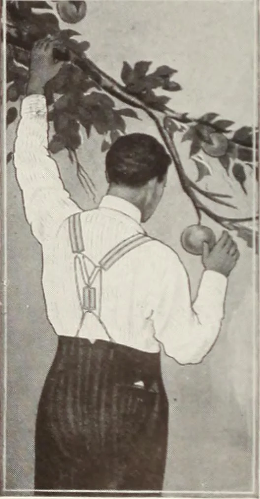 An illustration from Men's wear of Canada (January-December 1916), 1916, leaf 9