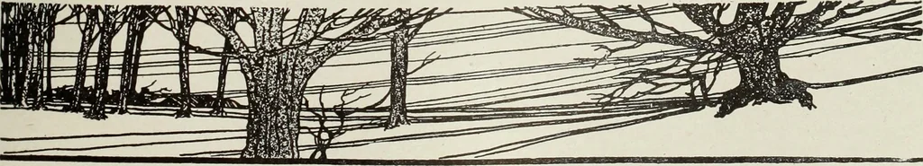 An illustration from Men's wear of Canada (January-December 1917), 1917, leaf 110