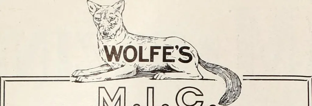 An illustration from Men's wear of Canada (January-December 1917), 1917, leaf 147