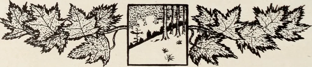 An illustration from Men's wear of Canada (January-December 1917), 1917, leaf 285