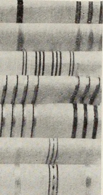 An illustration from Men's wear of Canada (January-December 1917), 1917, leaf 309