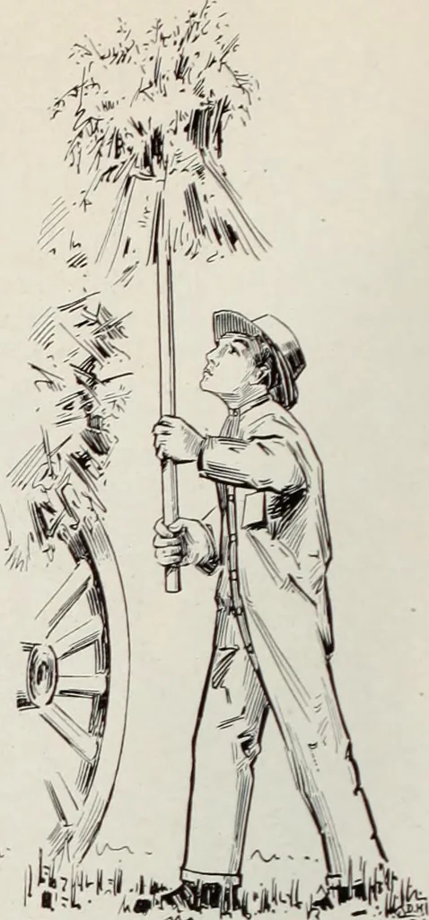 An illustration from Men's wear of Canada (January-December 1917), 1917, leaf 341