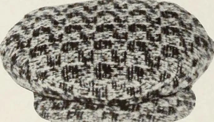 An illustration from Men's wear of Canada (January-December 1917), 1917, leaf 385