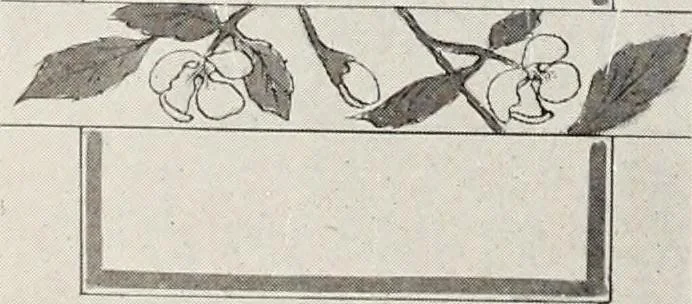 An illustration from Men's wear of Canada (January-December 1917), 1917, leaf 531