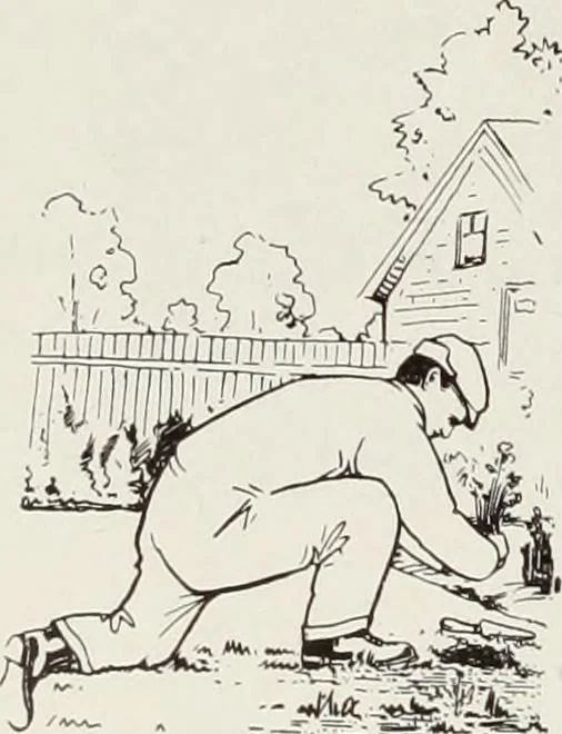 An illustration from Men's wear of Canada (January-December 1917), 1917, leaf 545