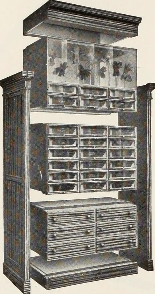 An illustration from Men's wear of Canada (January-December 1917), 1917, leaf 653