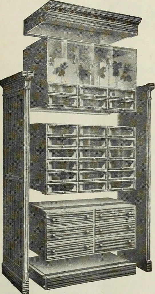 An illustration from Men's wear of Canada (January-December 1917), 1917, leaf 66