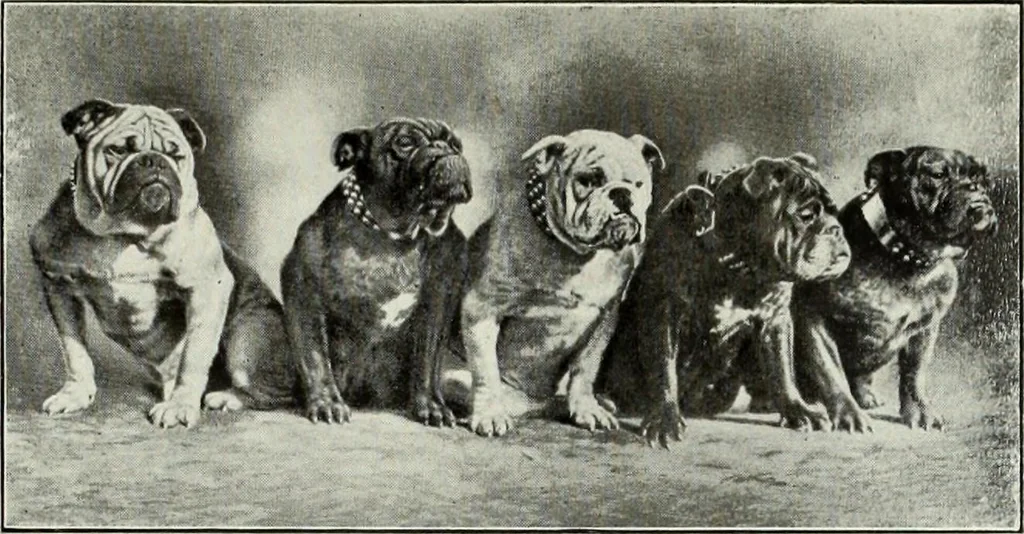 An illustration from Men's wear of Canada (January-December 1917), 1917, leaf 676