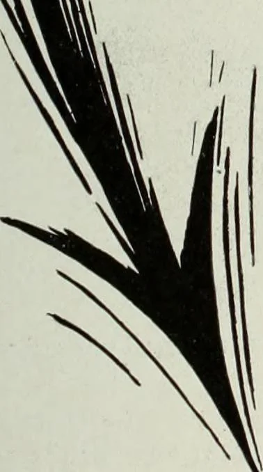 An illustration from Men's wear of Canada (January-December 1917), 1917, leaf 724