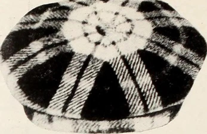 An illustration from Men's wear of Canada (January-December 1917), 1917, leaf 767