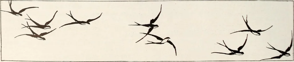An illustration from Men's wear of Canada (January-December 1917), 1917, leaf 793