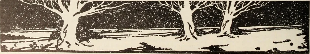 An illustration from Men's wear of Canada (January-December 1917), 1917, leaf 935