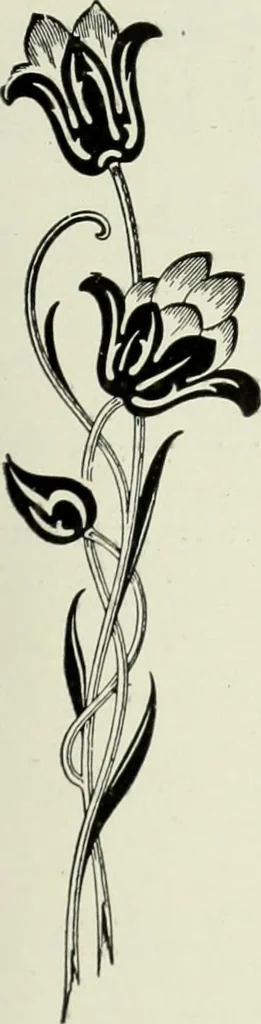 An illustration from Men's wear of Canada (January-December 1918), 1918, leaf 244