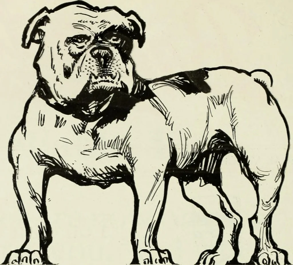 An illustration from Men's wear of Canada (January-December 1918), 1918, leaf 269