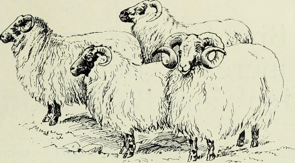 An illustration from Men's wear of Canada (January-December 1918), 1918, leaf 276