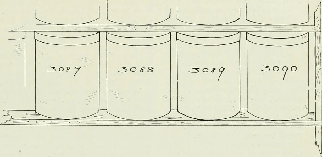 An illustration from Men's wear of Canada (January-December 1918), 1918, leaf 292
